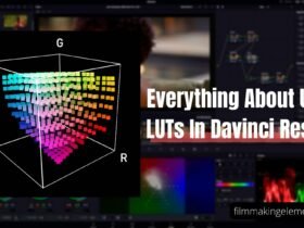 Everything About Using LUTs In Davinci Resolve