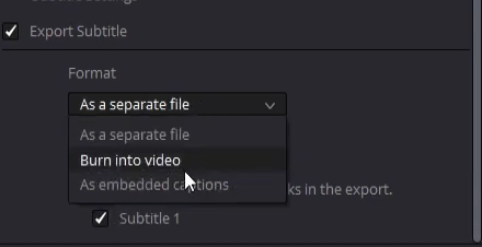 How to Export Subtitles from DaVinci Resolve 17