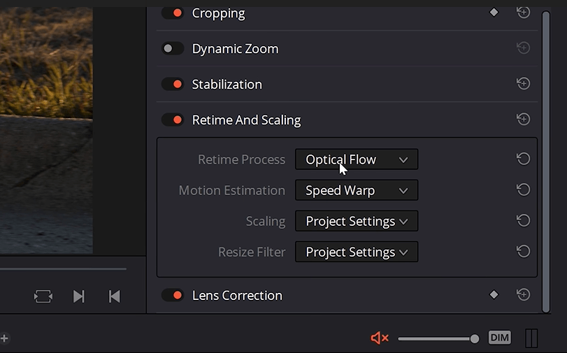 retime and scaling option in DaVinci resolve
