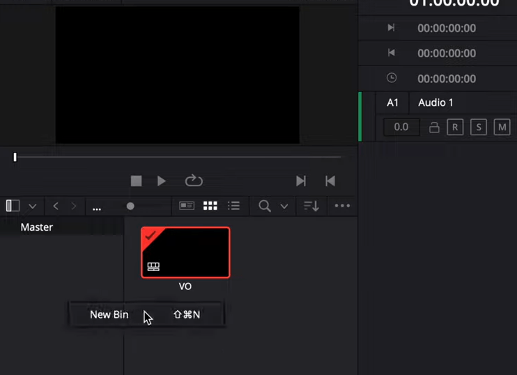 Setting Timeline to Record Audio in DaVinci Resolve 17